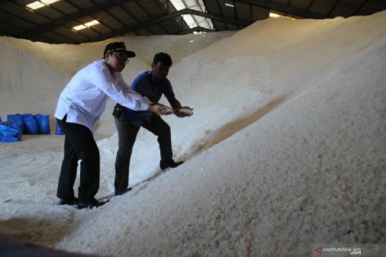 Produksi garam melimpah, ratusan ton tak tertampung di gudang PT Garam