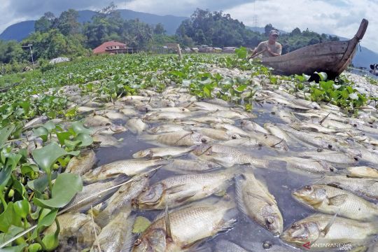 Berita kemarin, transmisi lokal kasus Omicron-kematian massal ikan