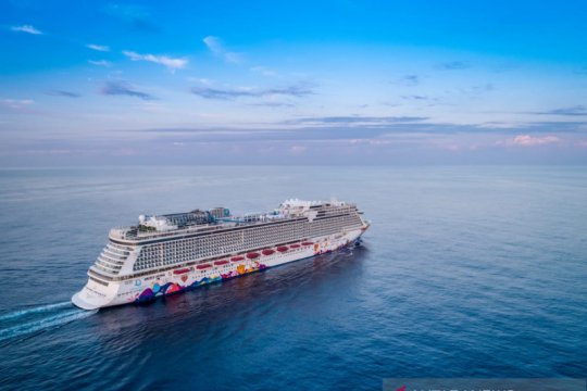BNPB dukung pemulangan WNI dari kapal World Dream dan Diamond Princess