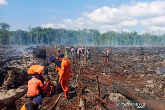 Hujan padamkan kebakaran 24,5 ha lahan di Aceh Barat dan Nagan Raya