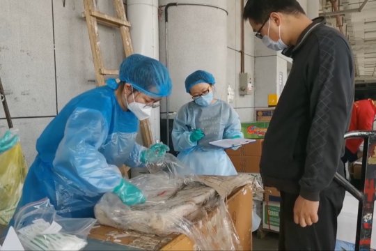 Xinjiang lakukan penyelidikan epidemiologis untuk memutus penularan COVID-19