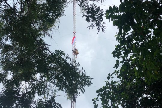 Warga Pulau Belakangpadang panjat menara radio kibarkan bendera