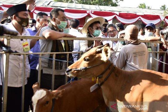 Kementan akan penuhi kekurangan bantuan 750 ekor sapi untuk NTB