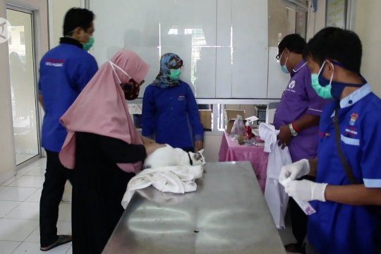 Dintanpangan Palembang bagikan ribuan vaksin rabies gratis