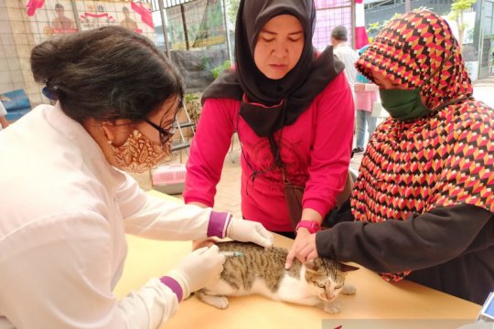 Sudin KPKP Jakbar layani vaksinasi rabies puluhan hewan
