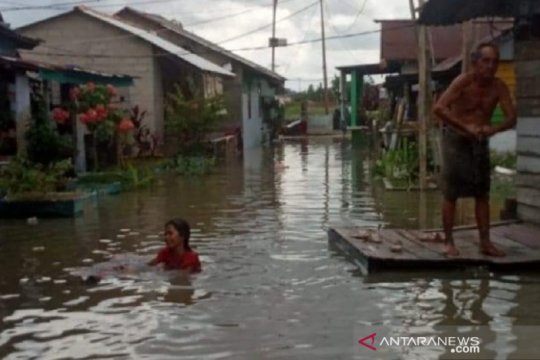 Banjir rob, puluhan rumah warga di Pangkalpinang terendam