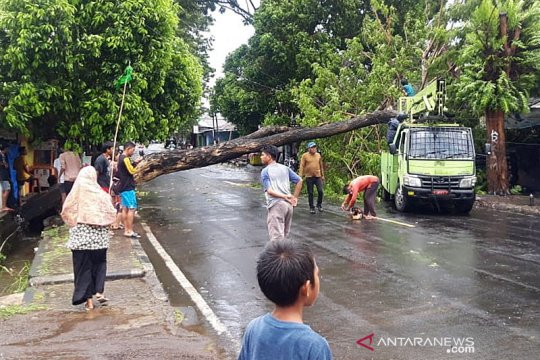 52 rumah dan fasilitas umum di Morotai rusak akibat cuaca ekstrem