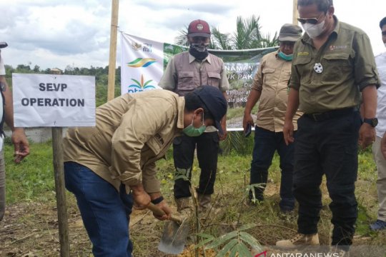 PTPN V-BBKSDA Riau bentuk tim lindungi gajah sumatera