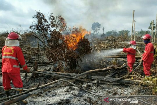 Tim gabungan padamkan lahan gambut terbakar di Musi Banyuasin