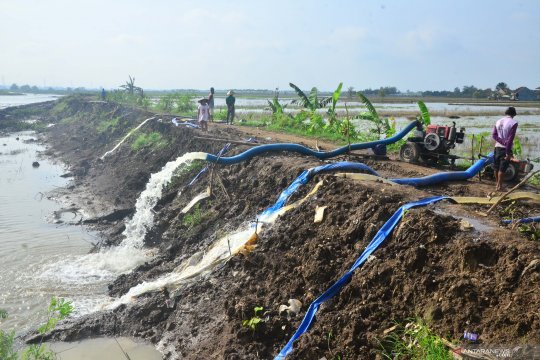 Penyedotan air yang menggenangi lahan pertanian