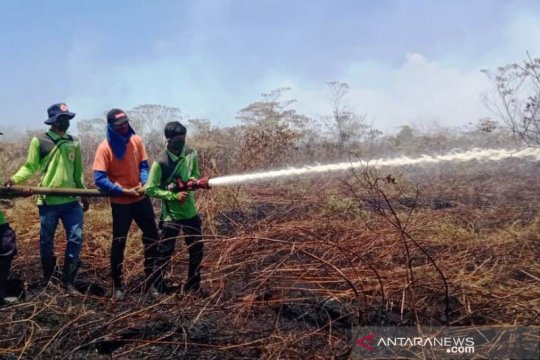 Sekitar enam hektare lahan di Nagan Raya terbakar