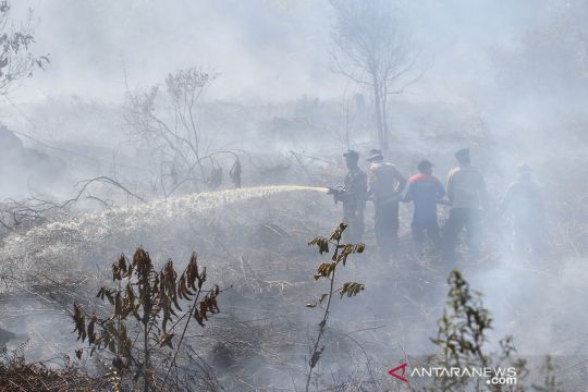 Kebakaran lahan gambut di Aceh Barat dan Nagan Raya