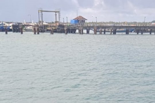 Otoritas Pelabuhan Dobo ingatkan kapal laut menunda pelayaran
