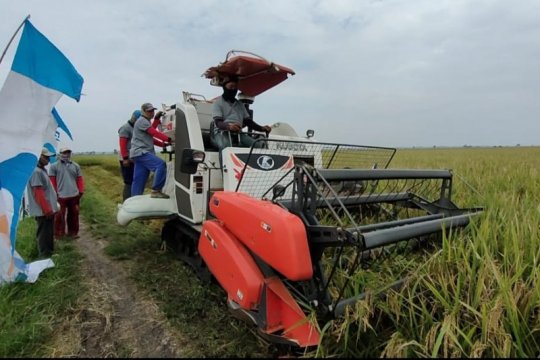 PTPN VII salurkan pinjaman untuk petani di Lampung Selatan