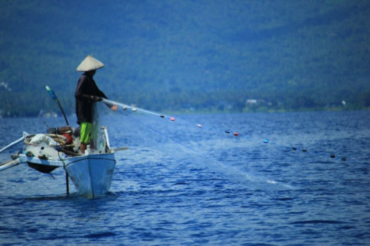 Pengamat: Keselamatan nelayan jangan hanya dikaitkan dengan asuransi