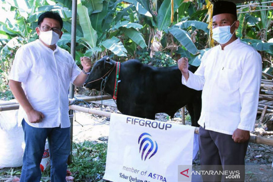 FIFGroup bagikan hewan kurban 371 kambing dan 3 sapi