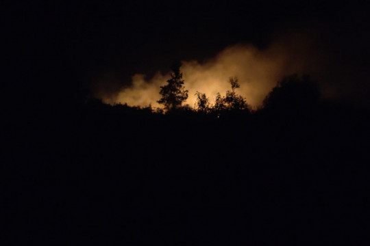 15 hektare lahan di Ogan Ilir Sumsel terbakar
