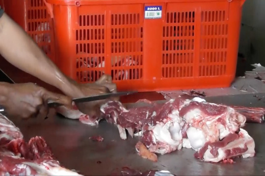 Distan Kota Semarang sarankan pemotongan hewan kurban di RPH