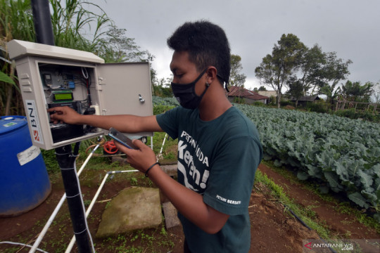 Pertanian berbasis teknologi di desa Gobleg Bali