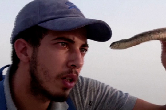YouTuber Tunisia kampanye pelestarian reptil