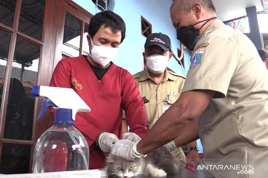 Pemkot Jakut targetkan 4.500 hewan peliharaan dapat vaksin anti-rabies