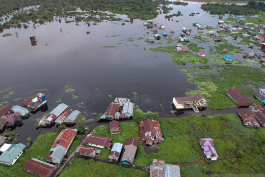 Dampak banjir luapan Sungai Kahayan di Palangkaraya