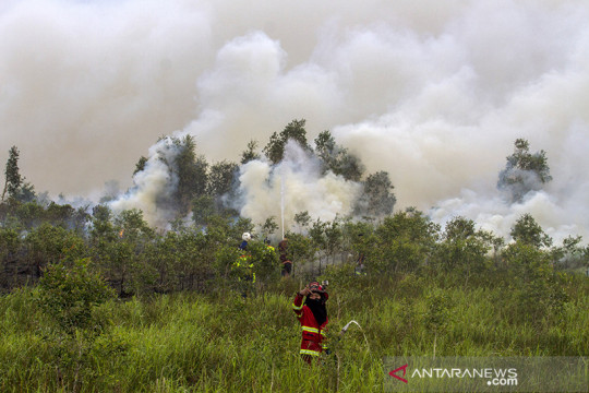 Kebakaran Lahan Di Kalsel Mendekati Permukiman Warga
