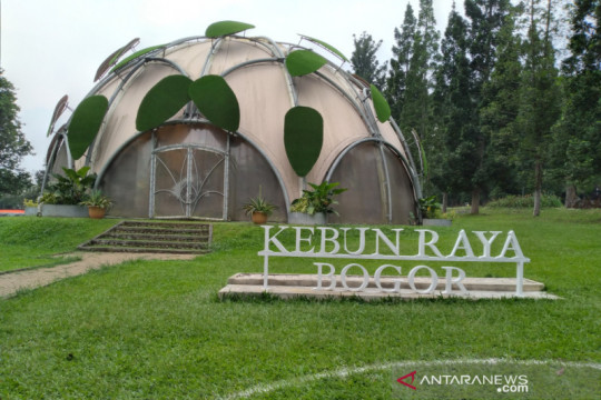 Wali Kota Bogor minta wisata malam Kebun Raya dihentikan