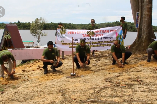 PLN Nagan Raya tanam 3.000 pohon di Danau Laut Tadu