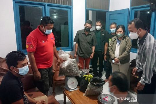 KLHK tangkap pedagang sisik trenggiling di Sekadau Kalimantan Barat