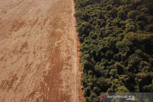 Jelang COP30, ilmuwan ingatkan Amazon hampir capai titik kritis
