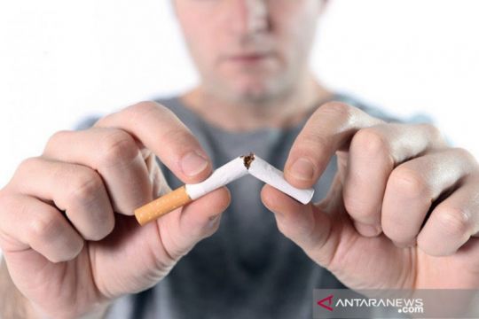 Apa perbedaan dan risiko tembakau yang dibakar dan dipanaskan?