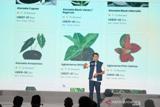 Aplikasi digital untuk penjualan ekspor tanaman hias