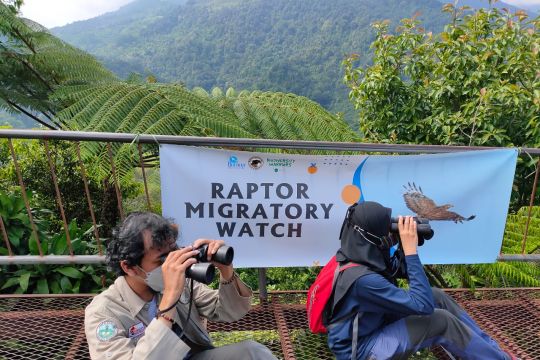 Hari Burung Migrasi Sedunia, KEHATI dan Burung Indonesia amati raptor