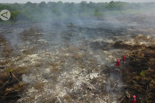 Status siaga darurat karhutla di Riau resmi berakhir