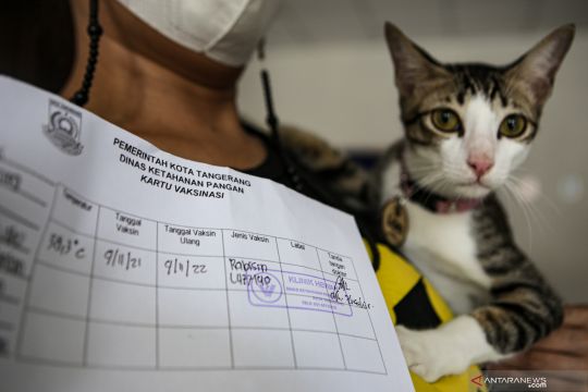 Vaksinasi Rabies gratis di Tangerang