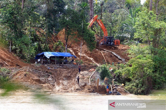 WALHI: 2.000 hektar hutan Aceh rusak akibat tambang emas ilegal