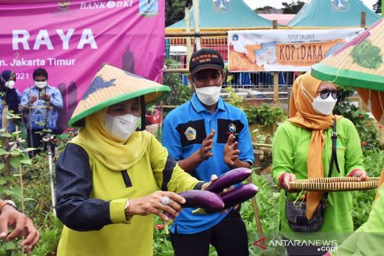 Wali Kota Jaktim harap hasil panen raya bantu cegah kasus stunting