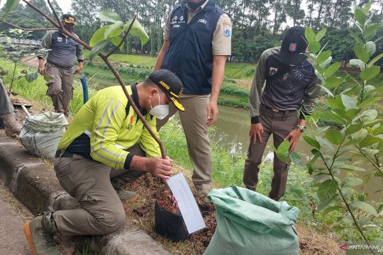 2.000 pohon ditanam Satpol PP DKI untuk hijaukan Jakarta