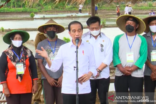Presiden Jokowi : RI belum impor beras sama sekali di 2021