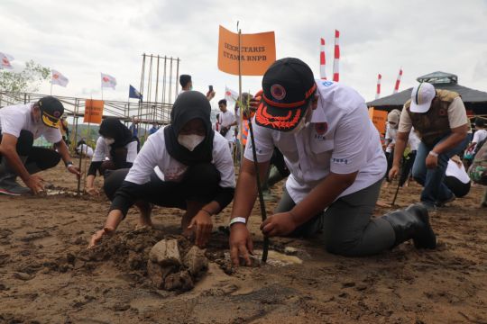 BNPB usung konsep mitigasi bencana tsunami berbasis ekosistem