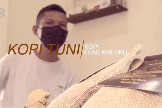 Mengenal kopi tuni Maluku