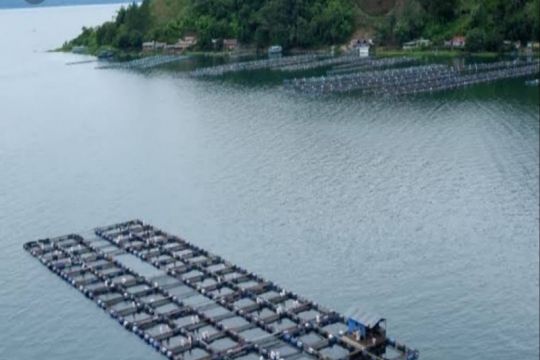 Peneliti: Menghapus KJA Danau Toba merugikan sosial ekonomi masyarakat