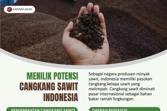 Menilik potensi cangkang sawit Indonesia