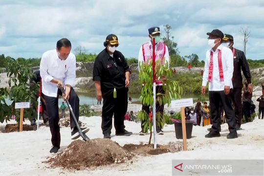 Presiden tanam pohon di area bekas pertambangan emas Kalimantan Barat