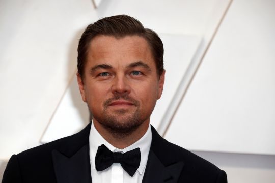 Vokal soal lingkungan, Leonardo DiCaprio jadi nama spesies pohon baru