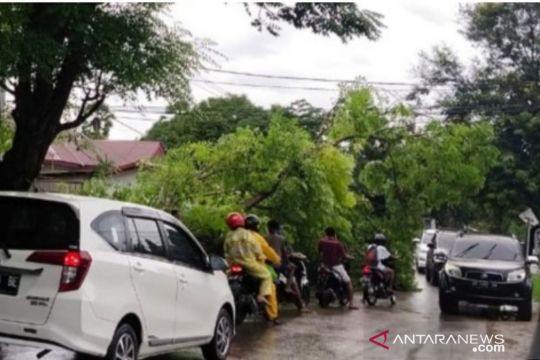 BMKG imbau masyarakat waspadai potensi hujan lebat di Kabupaten Kupang