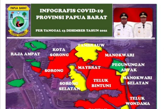 6 Kasus COVID-19 Papua Barat dari klinik PCR-LNG Tangguh