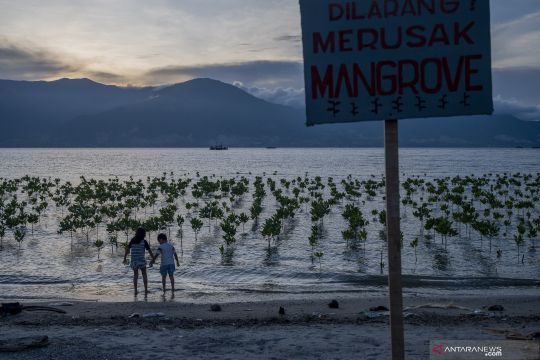 IFRC: 57 Juta jiwa di seluruh Asia Pasifik terdampak bencana iklim