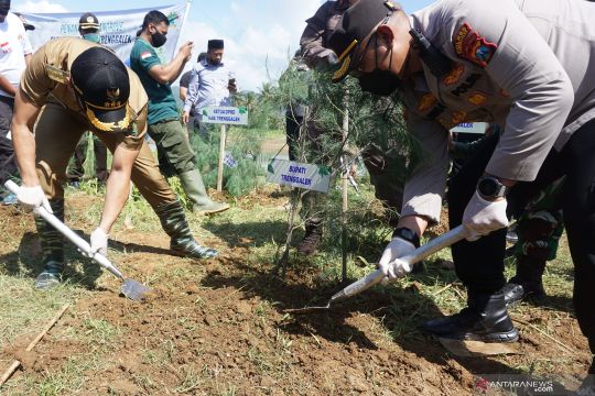 Aksi tanam 100 ribu bibit pohon digelar di Trenggalek